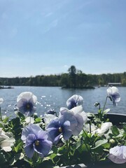 Processed with VSCO with e8 preset