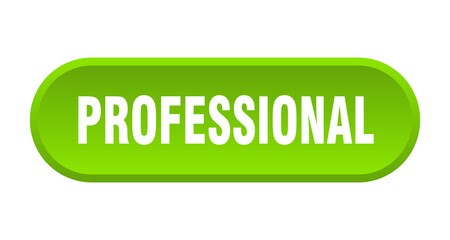 professional button. rounded sign on white background