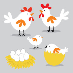 Cute chicken family sets, Vector illustration