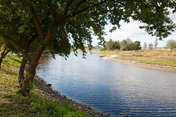 Forest river landscape. River forest view. Forest river summer scene. Forest river water
