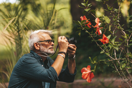 An elderly bearded man photographs flowers in nature.