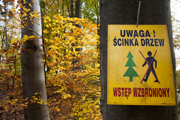 Ścinka drzew tablica informacyjna zawieszana na drzewie przy wykonywaniu prac leśnych - obrazy, fototapety, plakaty