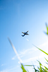 Airplane in the sky with grass