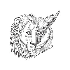 Head of Half Lion and Half Great Horned Owl Tiger Owl or Hoot Owl Front View Black and White Drawing