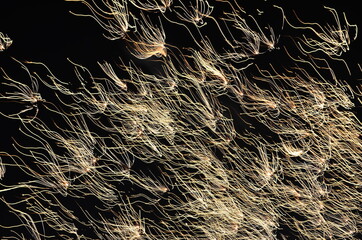 Diwali Celebration in India in the evening, at slow shutter with motion blur.