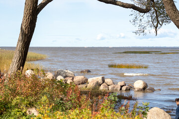 the gulf of finland