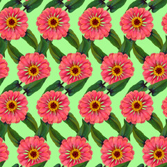 Seamless pattern with pink Zinnia flowers and green leaves on green background. Endless colorful floral texture. Raster illustration.