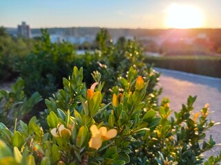 sunset over the river