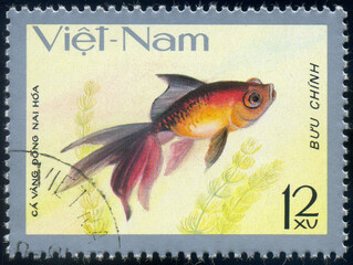 fish Dong Nai Hoa (Carassius auratus), fish tank fauna, circa 1977