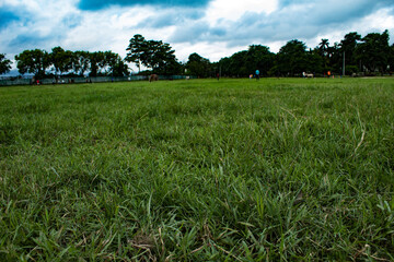 An open field in kolkata