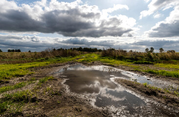 Beautiful sky with clouds is reflected in a puddle on a country road.