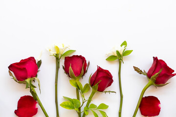 colorful red rose flowers arrangement flat lay postcard style on background white 