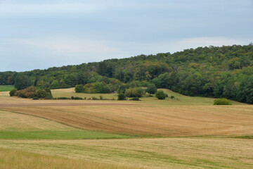 Fototapeta na wymiar Campagne de Haute-Saône, paysage agricole, Les Pelouses des Monts de Gy, France
