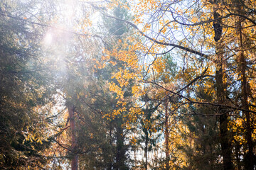 Autumn landscape. Russia. Ural landscape