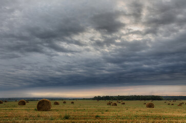 hay bales in a row on the field on a gloomy day
