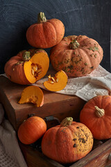 Harvest pumpkin, pumpkin in a wooden box, a lot of pumpkin.