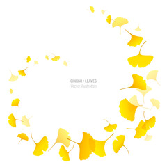 Autumn background with yellow ginkgo leaves. Vector frame of fall Japanese ginkgo biloba leaves on white background. Eps 10 vector illustration.