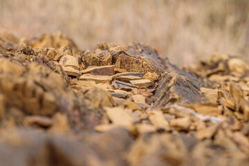 Rock patterns at the Deakin Anticline