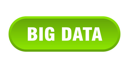big data button. rounded sign on white background