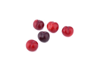 red cherry plum isolated on white background