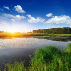 Fototapeta premium landscape with a river
