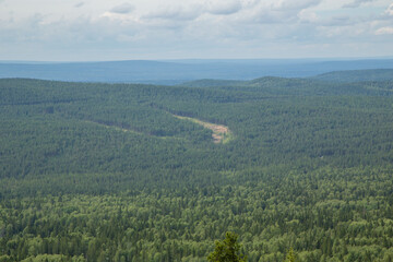 Obraz premium view from the mountain to the forest