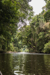 Taman Negara National Park and boottrip on the Tembeling river
