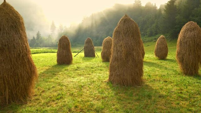 Gimbal shot of Haystacks Harvested In Summer For Winter. Countryside, Eco tourism and rural recreation, morning fog. Gimbal shot, 4K