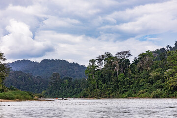 Taman Negara National Park and boottrip on the Tembeling river