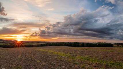 sunset over the field