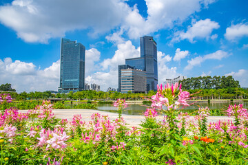 Naklejka premium Scenery of Jiaomen River Bank in Nansha District, Guangzhou City, Guangdong Province, China