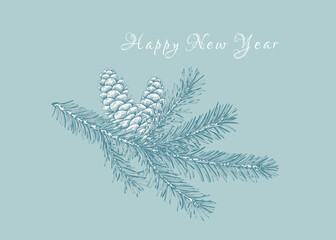 Winter card with fir branch and cones. New year illustration. Botanical vector. Light blue background and white greeting.