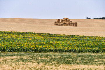 spanish landscape view of european countryside rural area in castilla y leon burgos spain.
