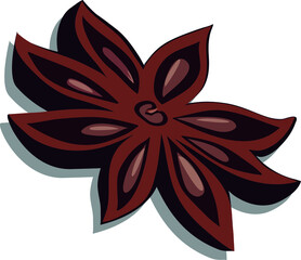 The fruit of star anise. Illicium. Spice, seasoning, herb for cooking, medicine, cosmetology. Isolate. Vector illustration in cartoon style.