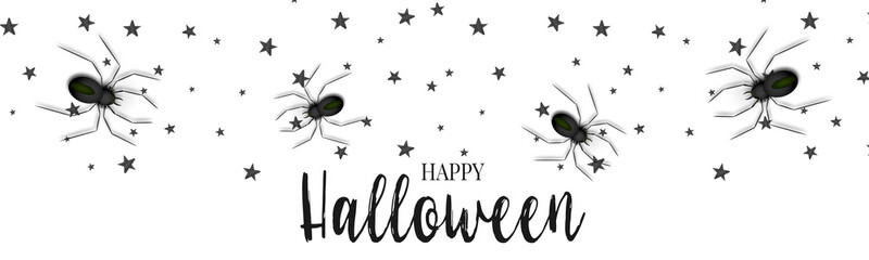 Halloween banner template. Realistic black spiders. Trick or treat party invitation card. Vector illustration.
