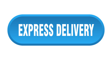 express delivery button. rounded sign on white background