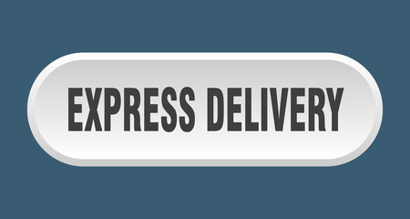 express delivery button. rounded sign on white background