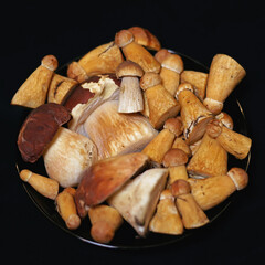 Freshly cut Boletus edulis mushrooms placed in a black glass bowl on a black background. Studio shot