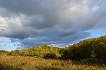 clouds over the forest