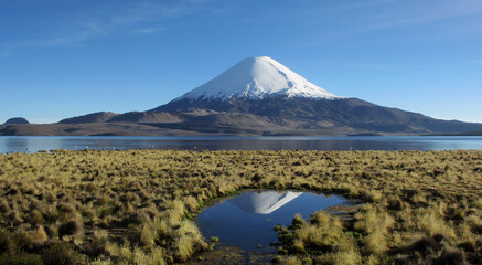 Lauca Nationalpark Parinacota Vulkan mit Lago Chungará - obrazy, fototapety, plakaty