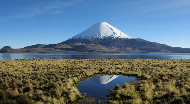 Lauca Nationalpark Parinacota Vulkan mit Lago Chungar&aacute;