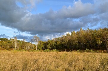 clouds over the field