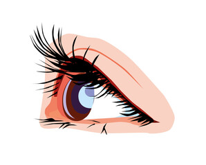 illustration of woman's eye, vector 