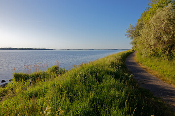 lake in the summer