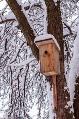 Wooden birdhouse hanging on tree in park on clear winter day. Concept of helping birds in winter time.