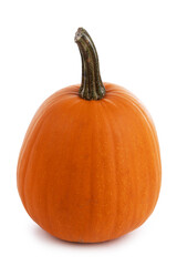 One orange pumpkin