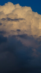 Fototapeta na wymiar Gros cumulus gonflant en fin de soirée