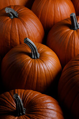 Many pumpkins collection
