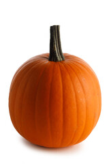 One orange pumpkin
