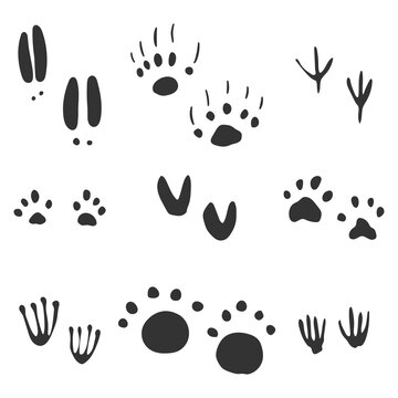 Animal footprints vector set isolated on a white background.